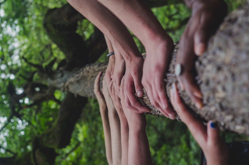 Finding Agency And Action In A Time Of Ecological Crisis - Green Institute