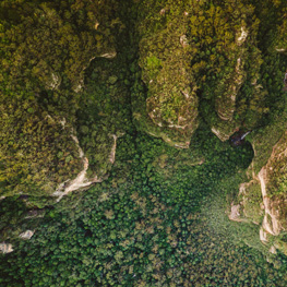 What Needs To Be Done For Us To Survive? Donate to The Green Institute