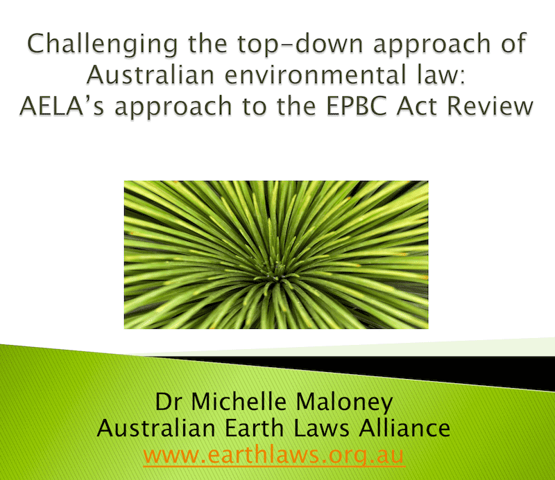 Reviewing Environment Laws After The Fires: Resources From The Webinar