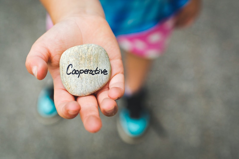 Covid Democracy Webinar Series: Cooperatives As A Path To Democratic Economic Recovery