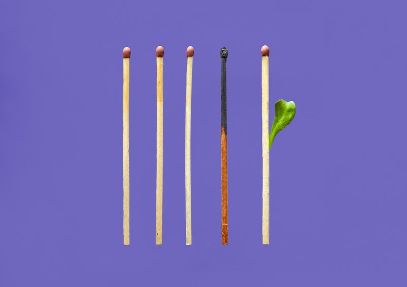In Conversation with Danielle Celermajer and Scott Ludlam: From Grief To Possibility To Action - Image of 5 matches - first three fine. Fourth match burnt. Fifth match sprouting a leaf.