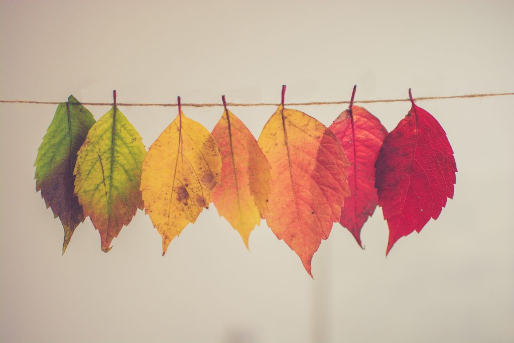Green Agenda Journal - Living Towards Transformation Webinar