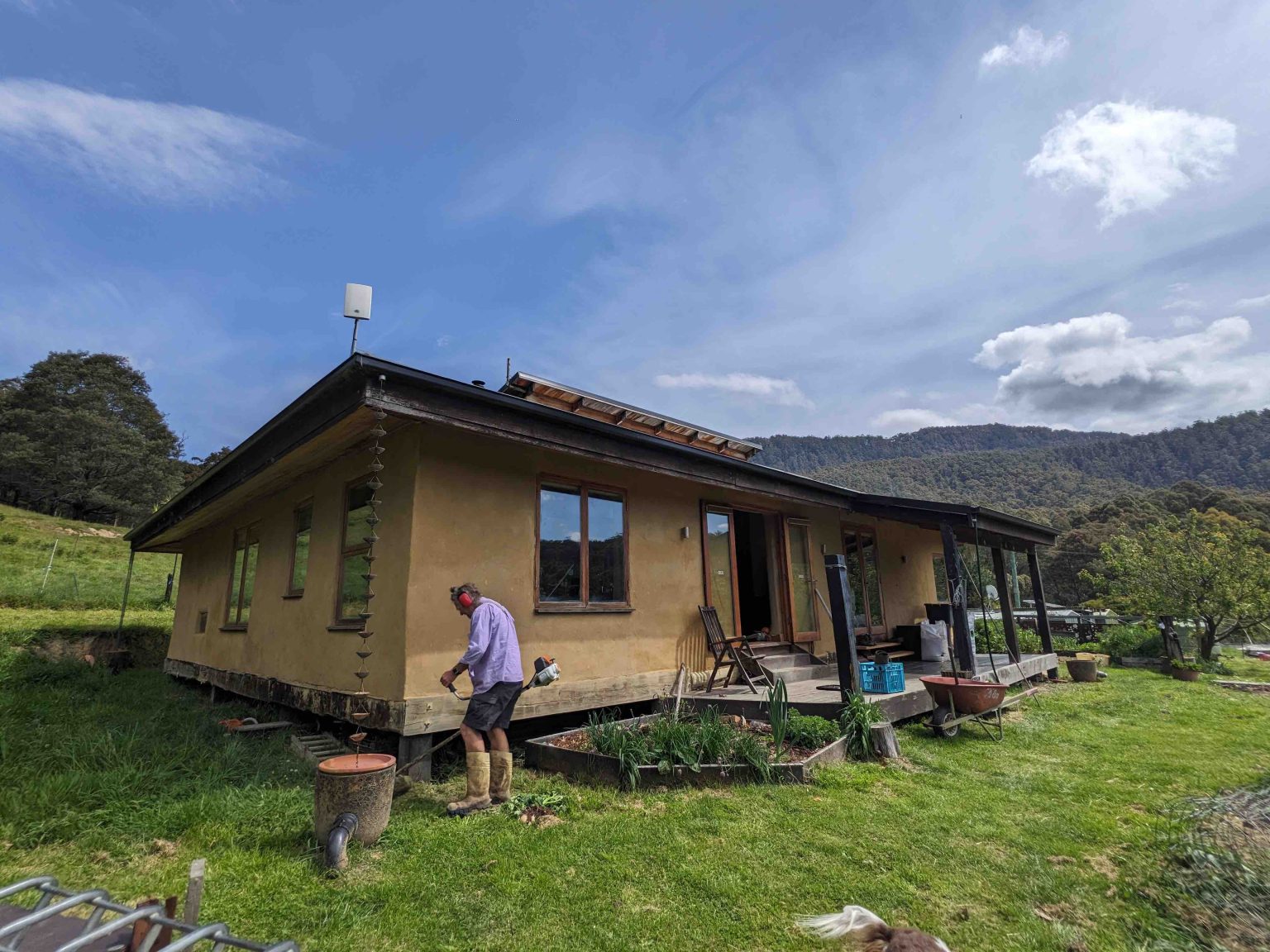 Green Agenda: On flourishing with nature, grassroots organising, and Palestine