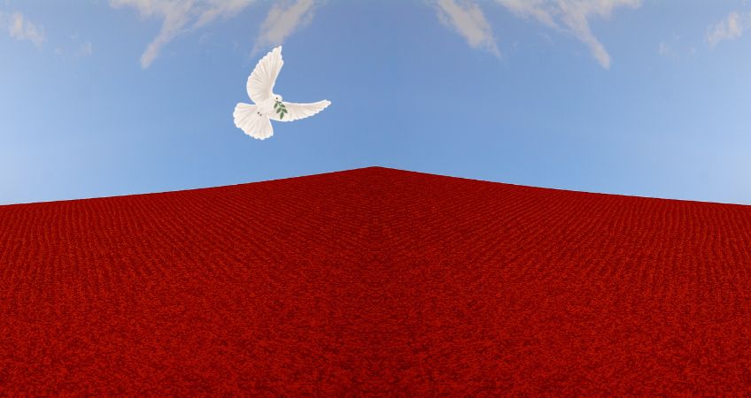 Protection without violence – don’t miss this