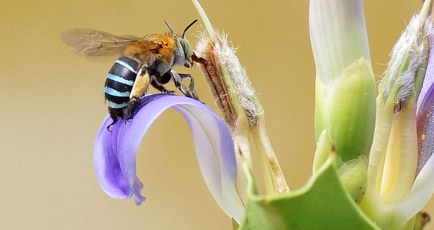 Ecological Ethics For The End Of The World As We Know It