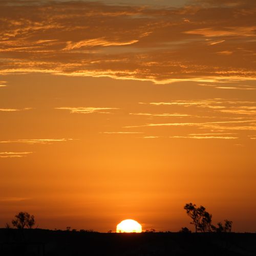 Kinship Is The Antidote To Scarcity - Green Institute - Missing Peace